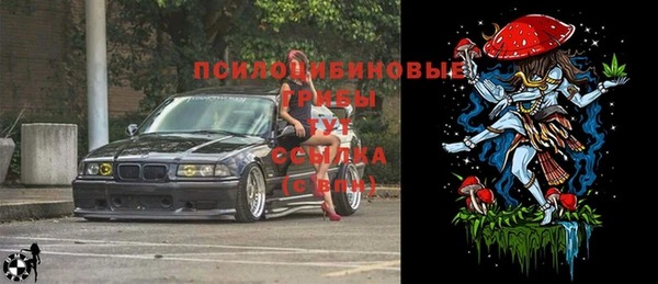 а пвп мука Белокуриха