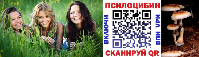 Псилоцибиновые грибы Magic Shrooms  MEGA   Малмыж 